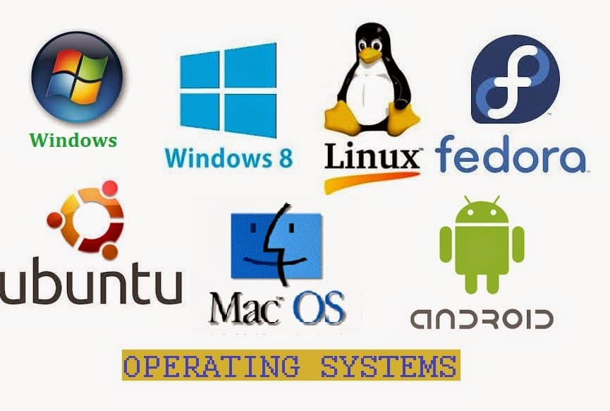 Understanding the Diversity of Operating Systems