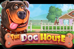 the dog house